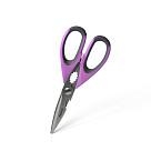 Virtuves šķēres 22 cm (nerūsējošais tērauds)