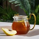 Tējkanna 600 ml ar stikla filtru, art. 6468