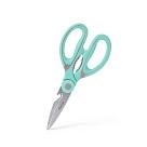 Virtuves šķēres 20 cm (nerūsējošs tērauds)