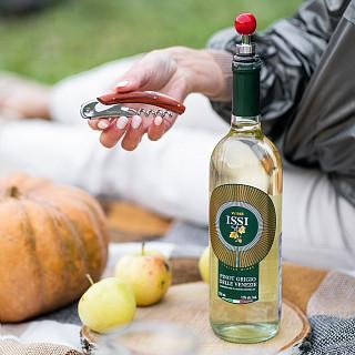 Vīna piederumu komplekts 2 pied.